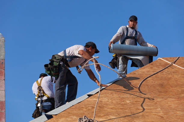 Best Roof Repair Services  in Woods Hole, MA
