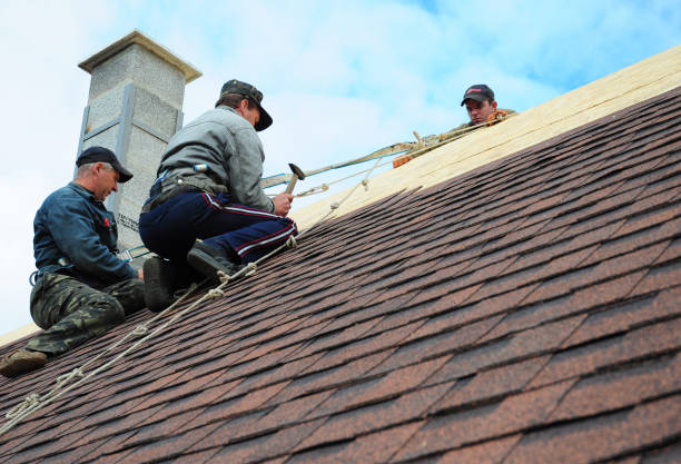 Best Roof Gutter Cleaning  in Woods Hole, MA